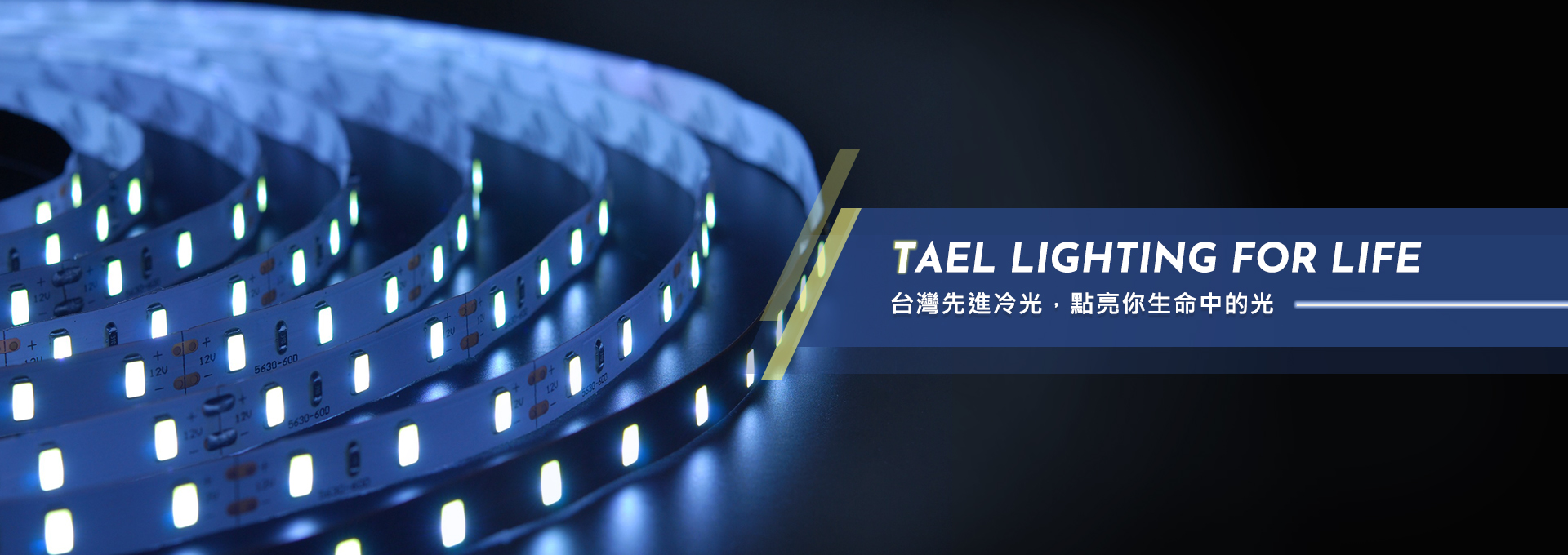 台灣先進冷光2